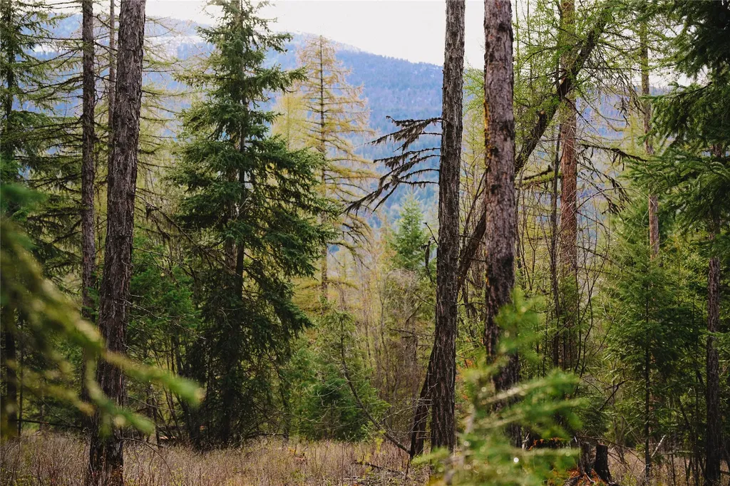 2001 Browns Meadow Road Kila MT 59920