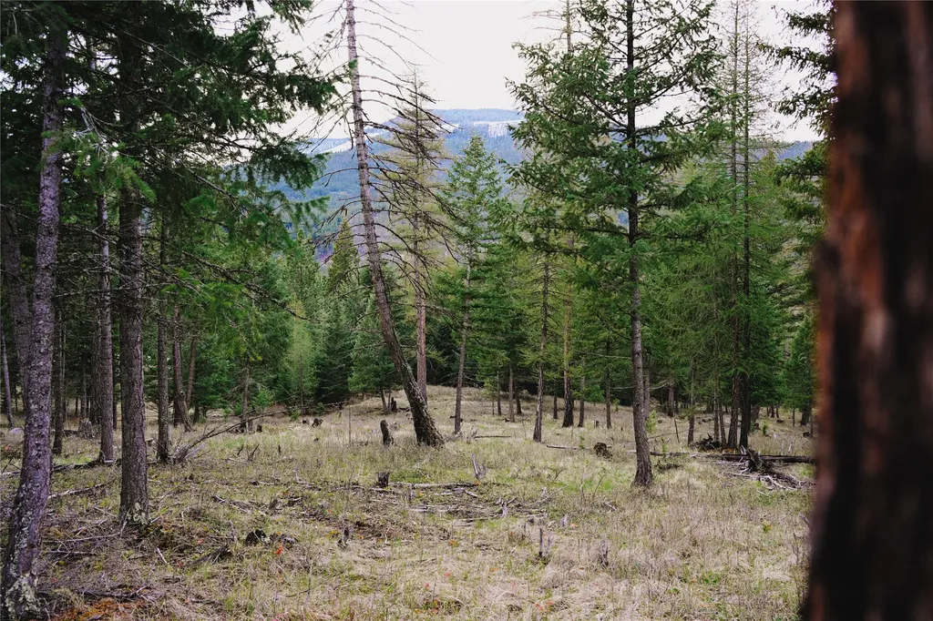 2001 Browns Meadow Road Kila MT 59920