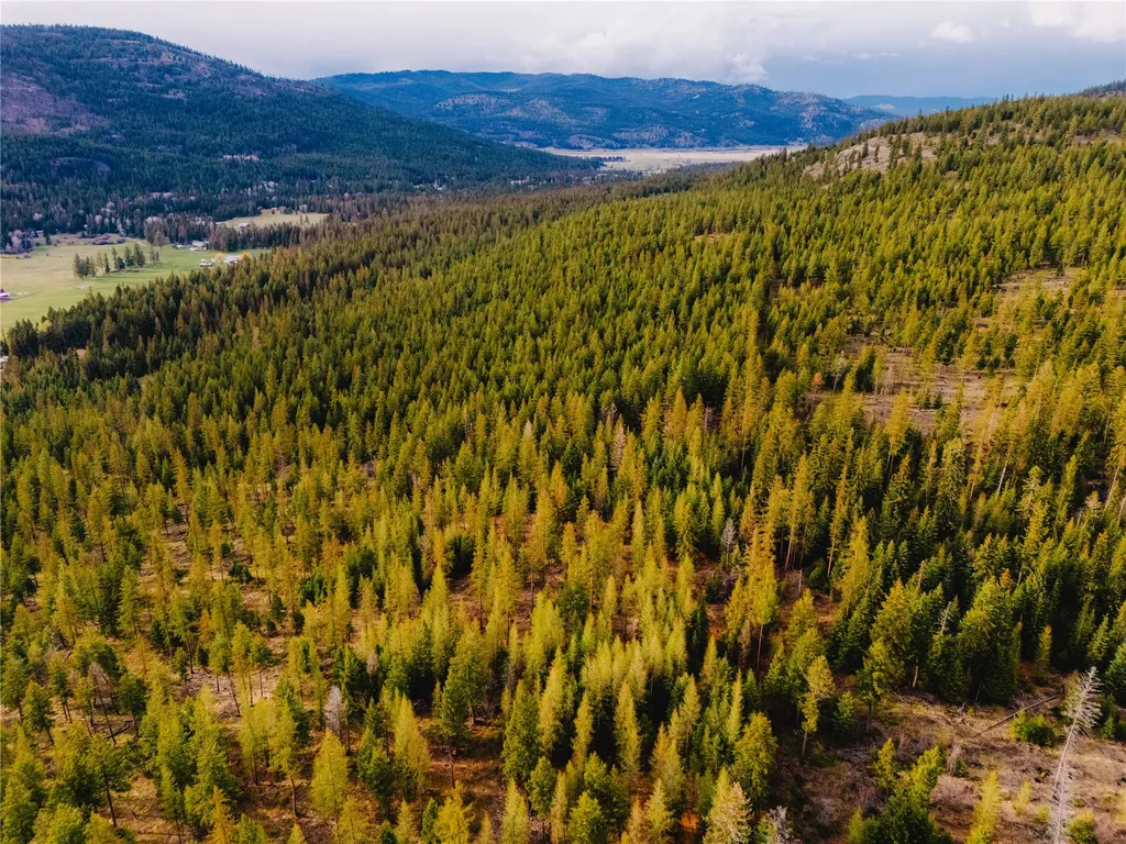 2001 Browns Meadow Road Kila MT 59920
