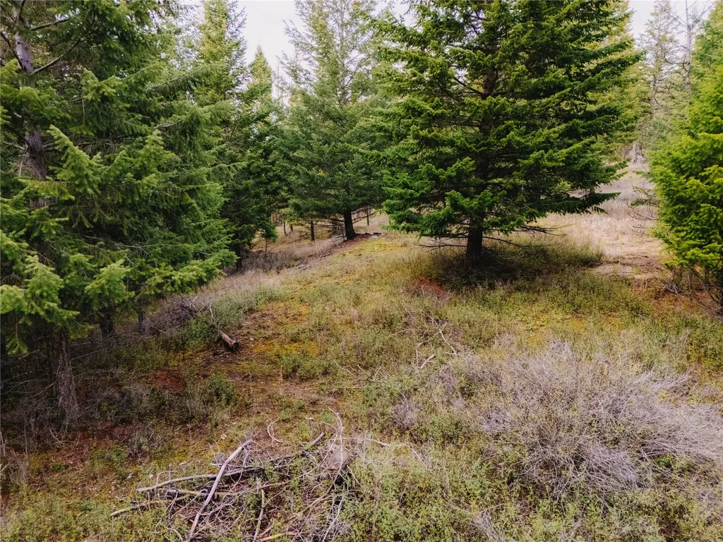 2001 Browns Meadow Road Kila MT 59920