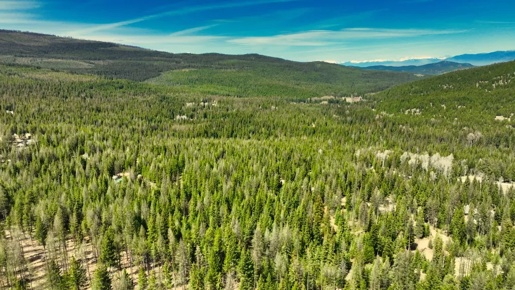 1350 Quaking Aspen Court Rexford MT 59930