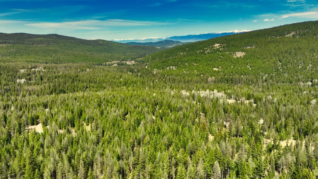 1350 Quaking Aspen Court Rexford MT 59930