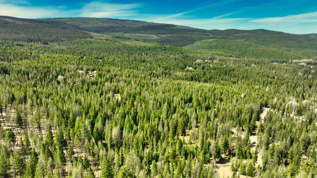 1350 Quaking Aspen Court Rexford MT 59930