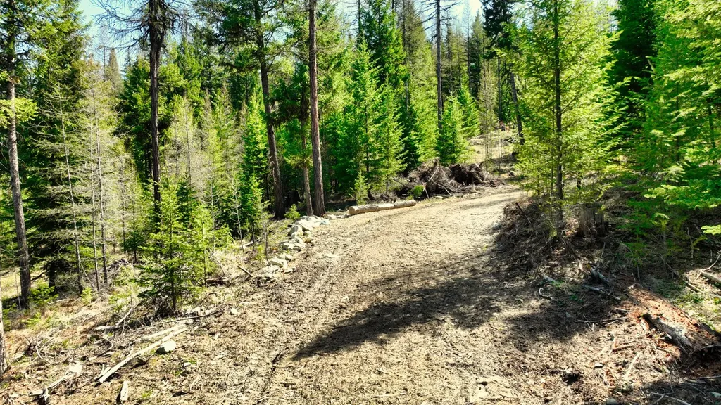 1350 Quaking Aspen Court Rexford MT 59930
