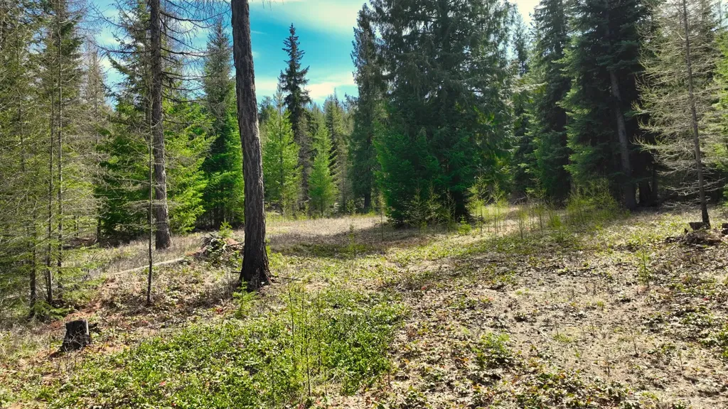 1350 Quaking Aspen Court Rexford MT 59930