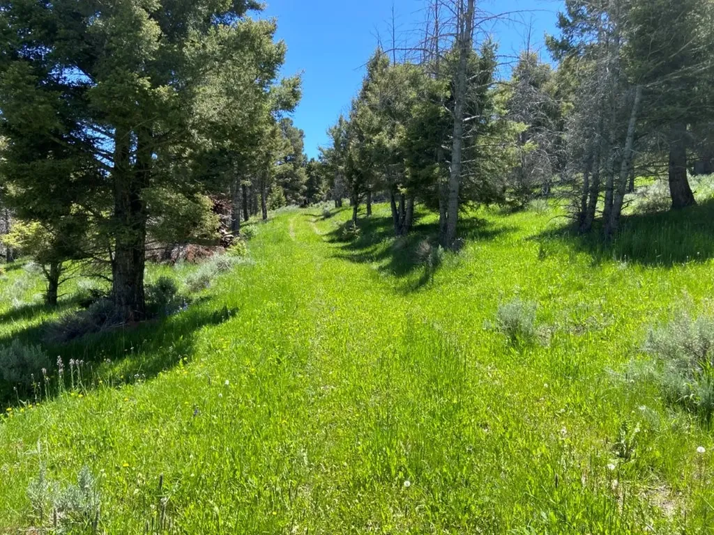 Tbd Camp Creek Road Melrose MT 59743