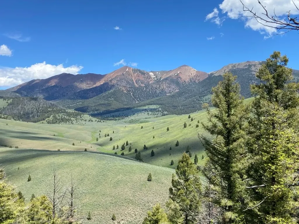 Tbd Camp Creek Road Melrose MT 59743