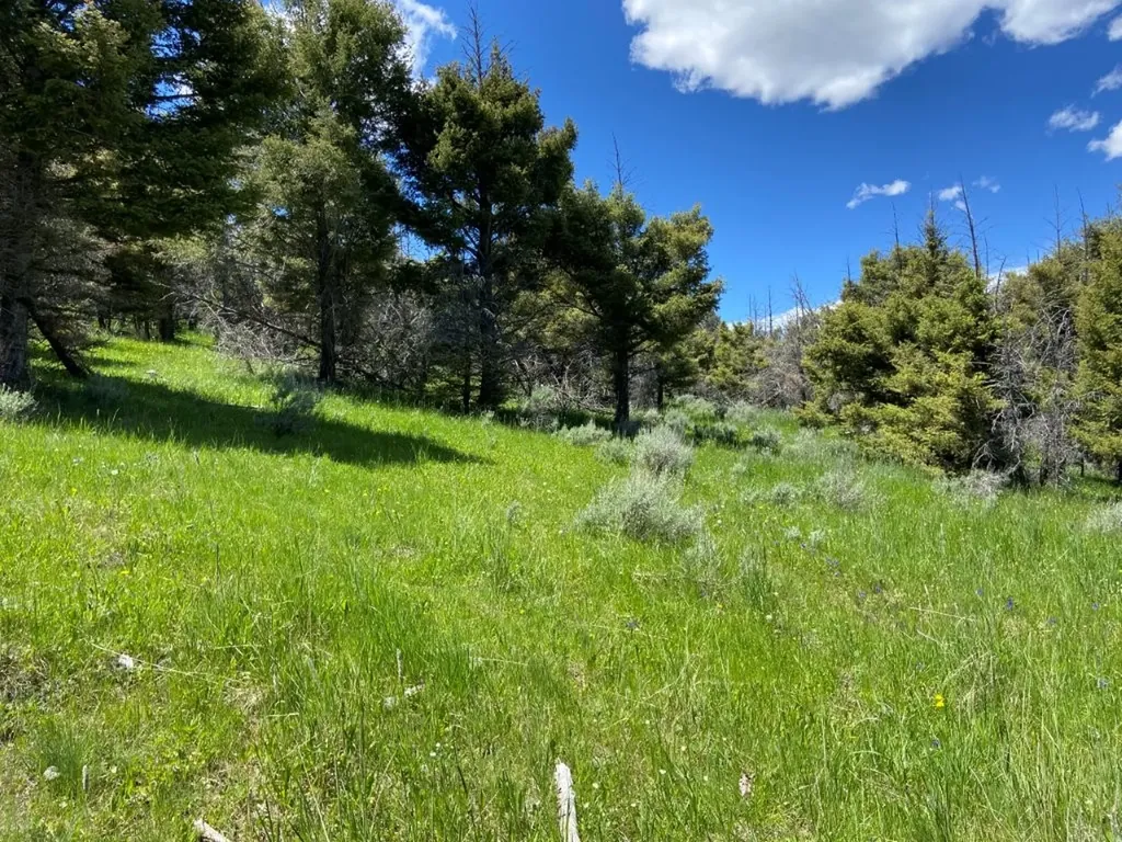Tbd Camp Creek Road Melrose MT 59743