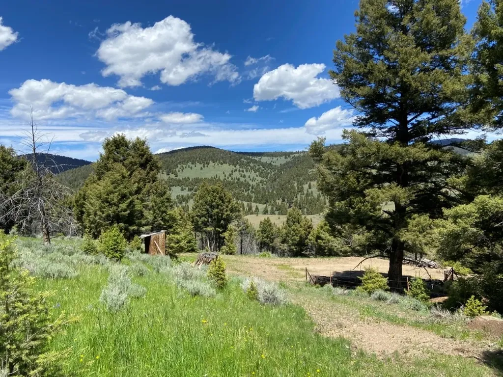 Tbd Camp Creek Road Melrose MT 59743