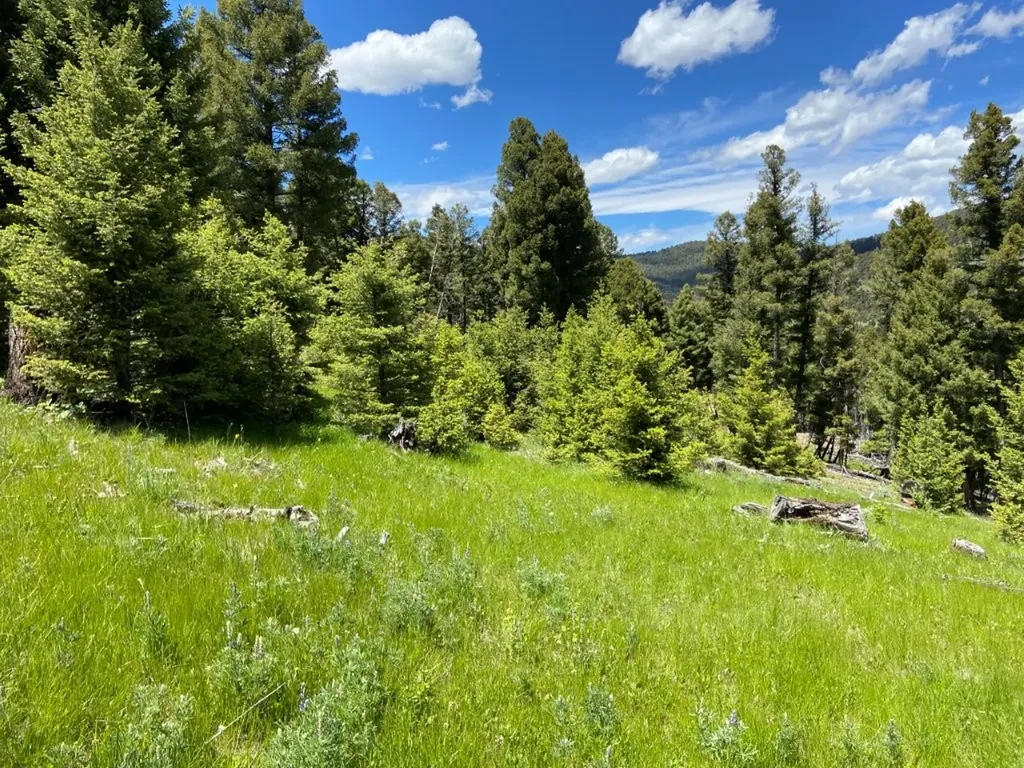 Tbd Camp Creek Road Melrose MT 59743