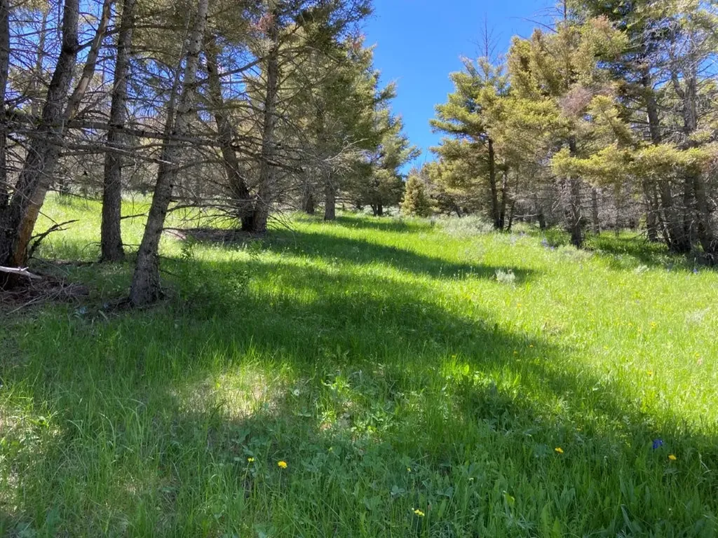 Tbd Camp Creek Road Melrose MT 59743