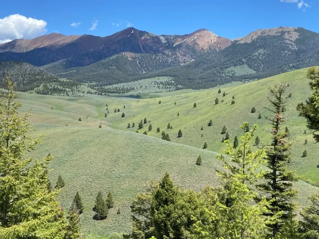 Tbd Camp Creek Road Melrose MT 59743