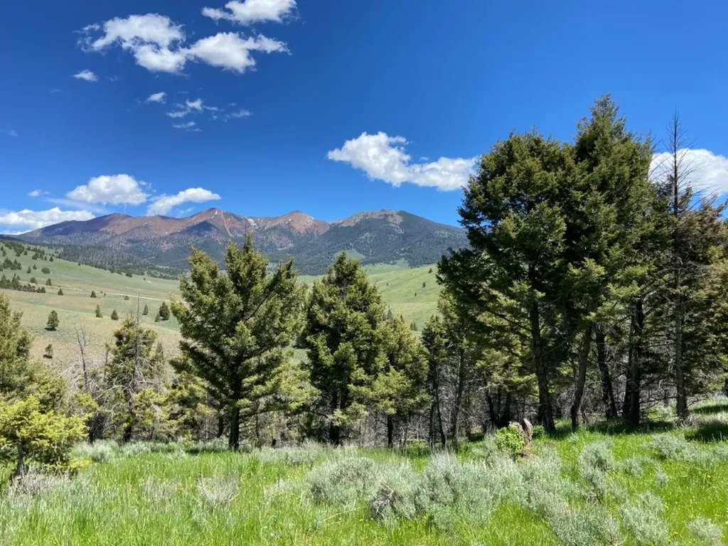 Tbd Camp Creek Road Melrose MT 59743