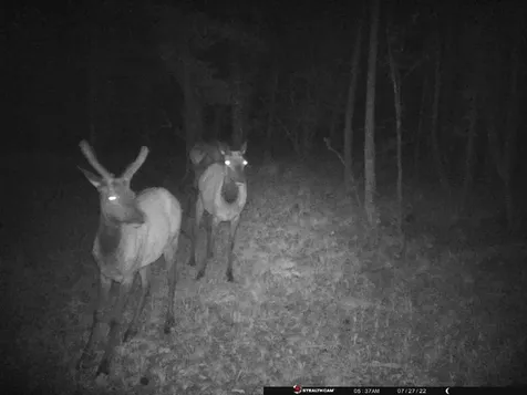 TBD Camp Creek Road Melrose MT 59743