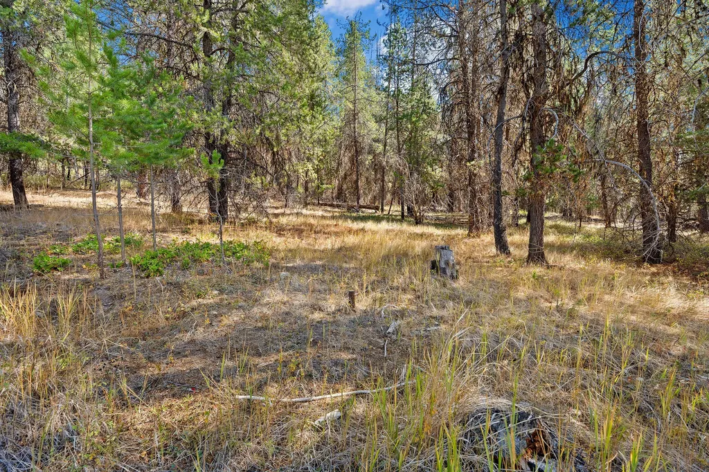 2950 Lower Lost Prairie Road Marion MT 59925