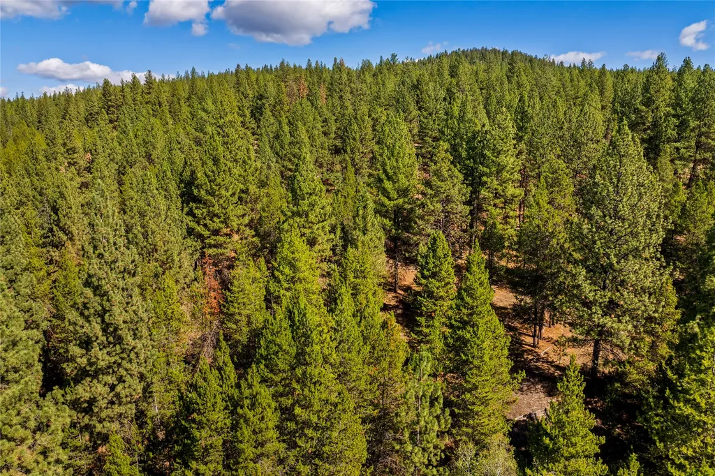 2950 Lower Lost Prairie Road Marion MT 59925