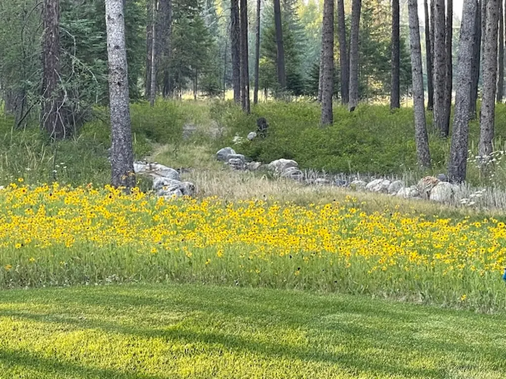 211 Blanchard Lake Road Whitefish MT 59937
