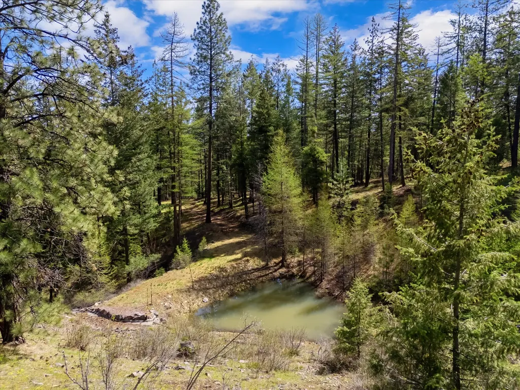 73625 Arlee Pines Drive Arlee MT 59821