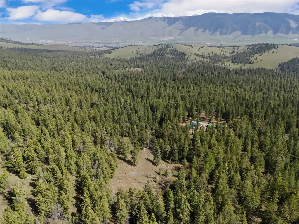 73625 Arlee Pines Drive Arlee MT 59821