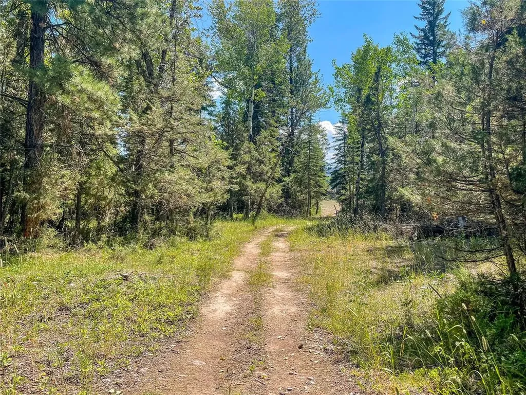 2172 Blackburn Drive Lincoln MT 59639