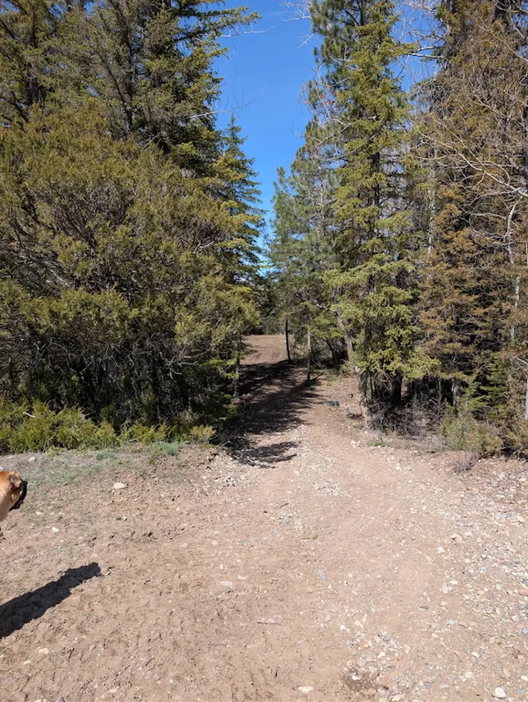 2172 Blackburn Drive Lincoln MT 59639