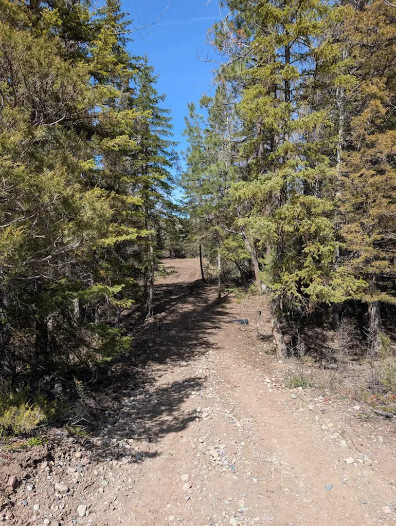 2172 Blackburn Drive Lincoln MT 59639