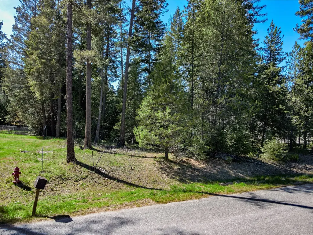 Nhn Hummingbird Lane Troy MT 59935