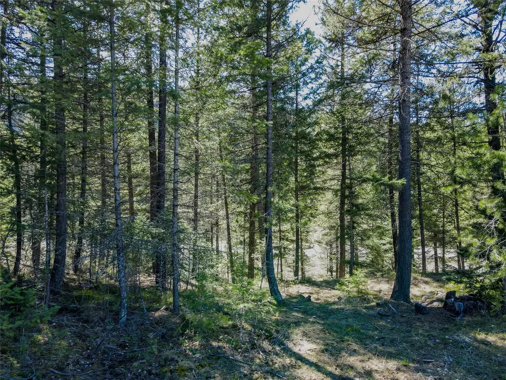 Nhn Hummingbird Lane Troy MT 59935
