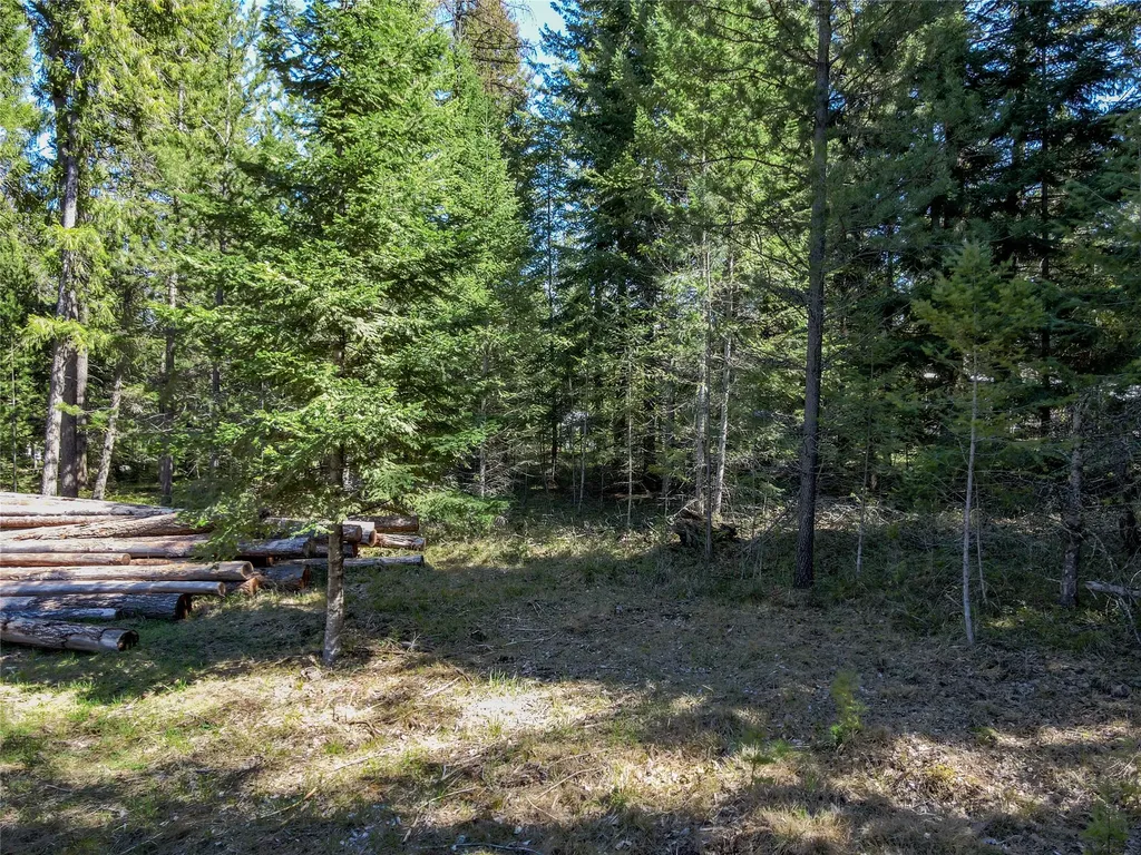 Nhn Hummingbird Lane Troy MT 59935