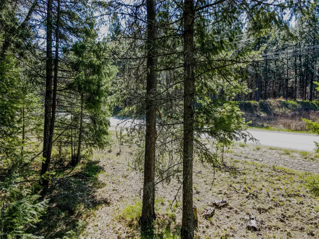 Nhn Hummingbird Lane Troy MT 59935