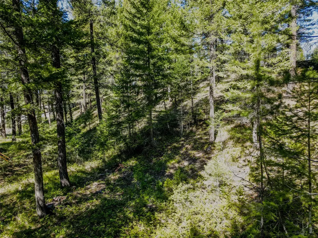 Nhn Hummingbird Lane Troy MT 59935