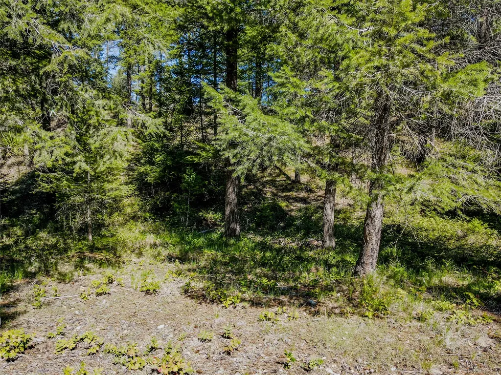 Nhn Hummingbird Lane Troy MT 59935