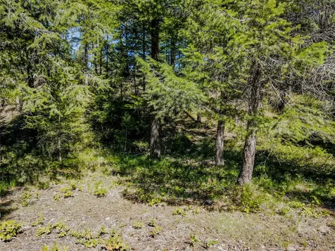NHN Hummingbird Lane Troy MT 59935