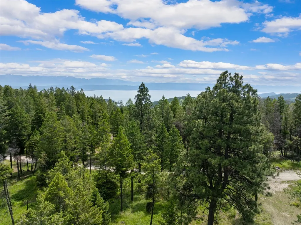 460 Buffalo Lane Somers MT 59932