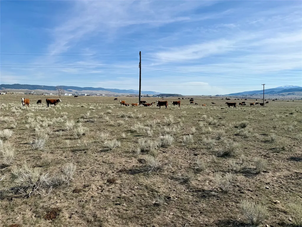 Tbd Nissler Road Ramsay MT 59748