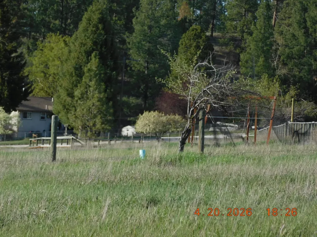 488 Osprey Overlook Lane Stevensville MT 59870