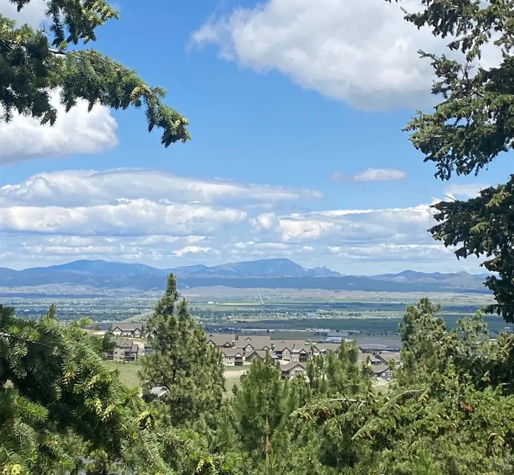 1242 Winscott Lane Helena MT 59601