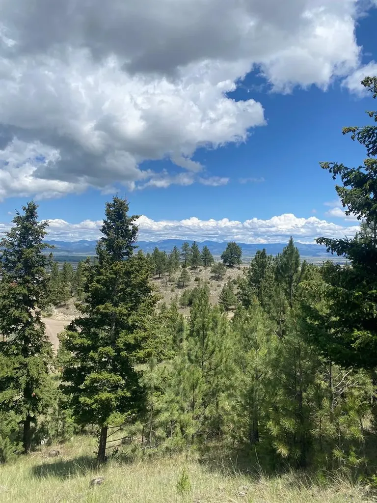 1242 Winscott Lane Helena MT 59601