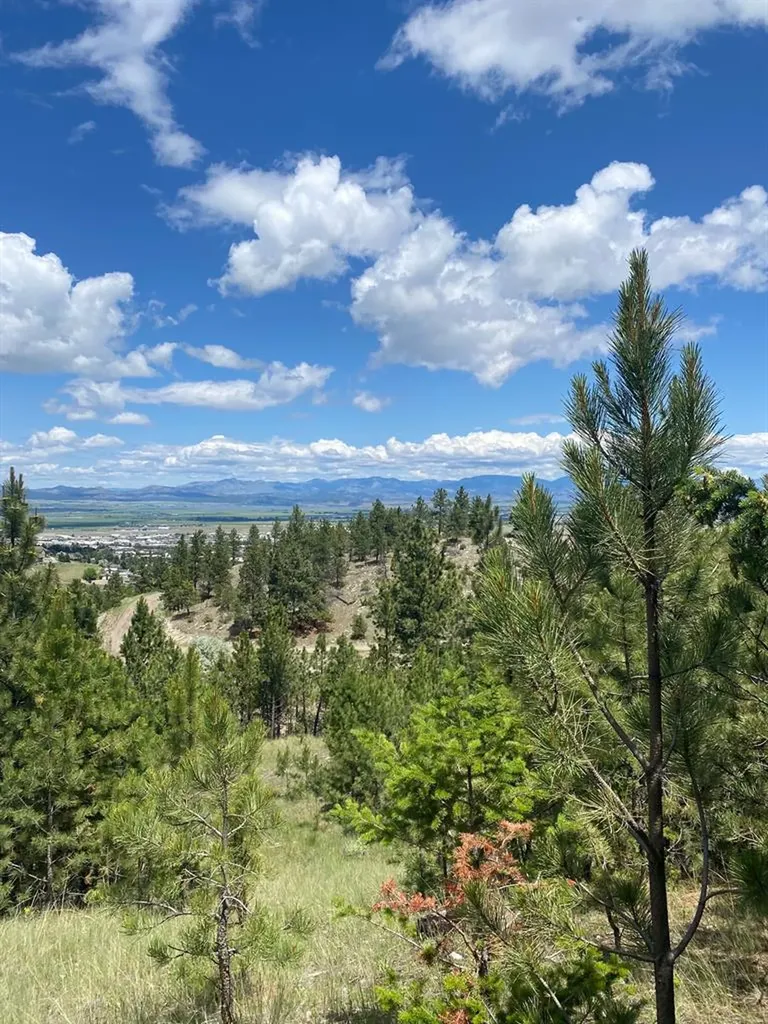 1242 Winscott Lane Helena MT 59601
