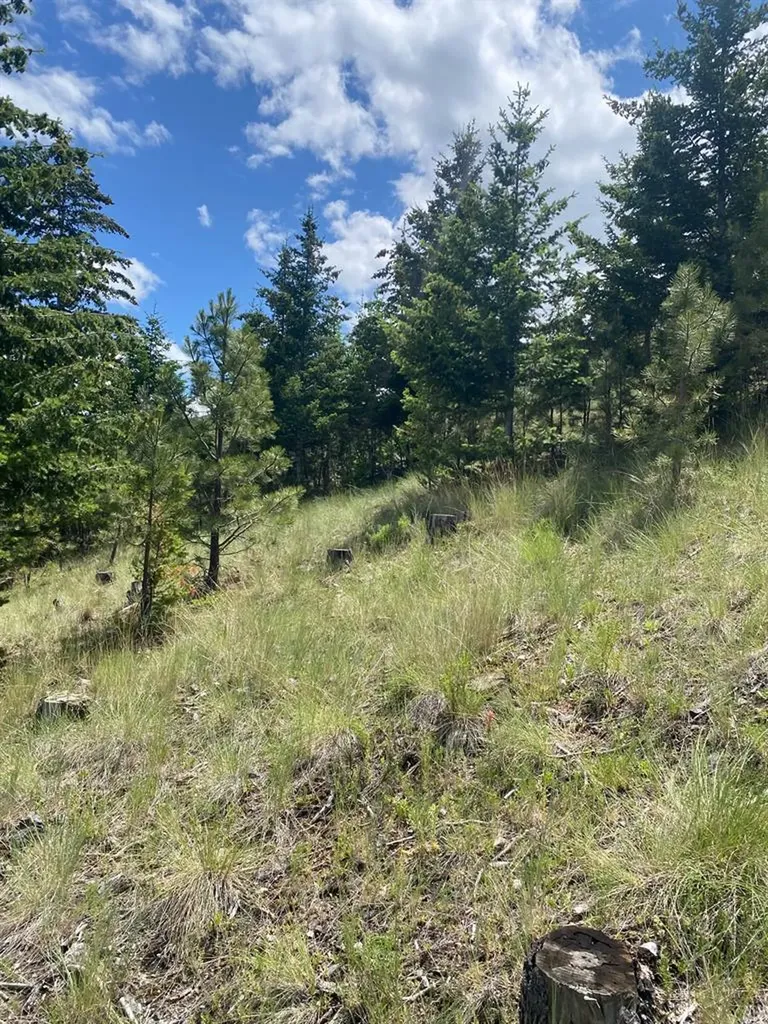 1242 Winscott Lane Helena MT 59601