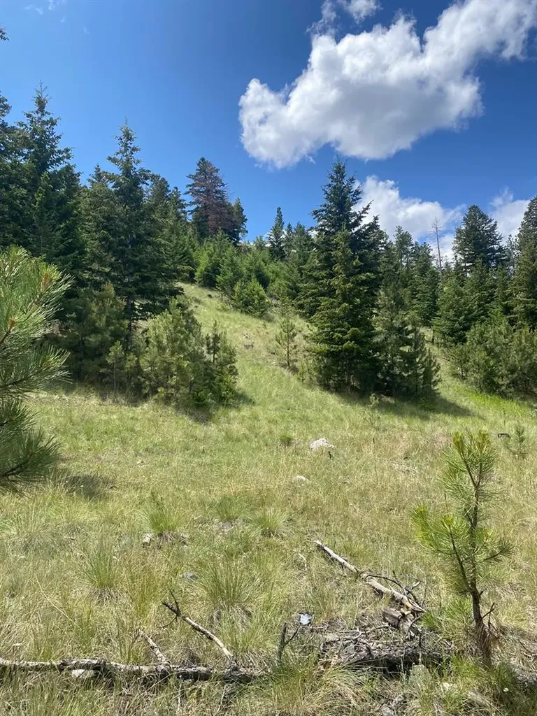 1242 Winscott Lane Helena MT 59601