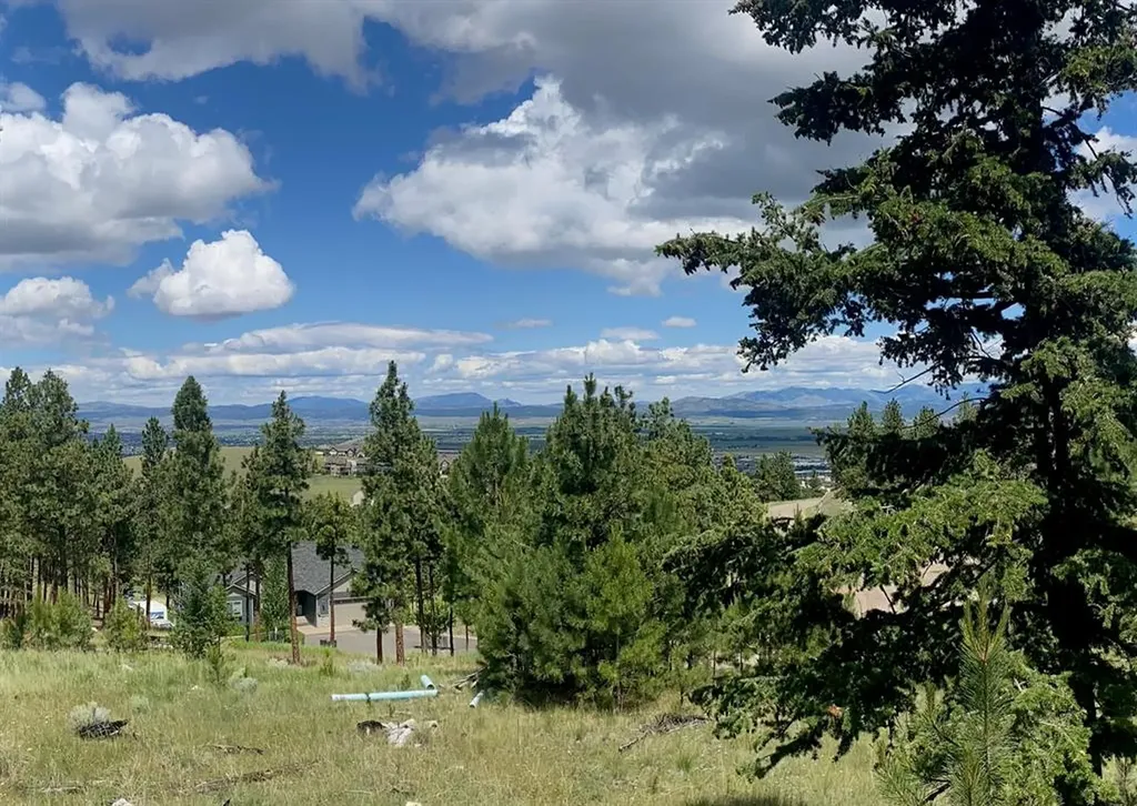 1242 Winscott Lane Helena MT 59601