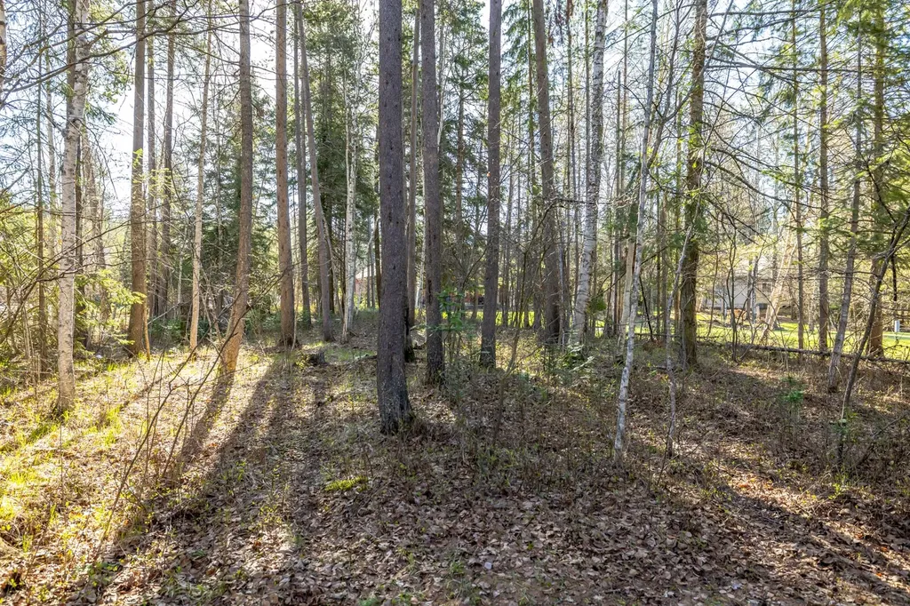 220 Pine Valley Loop Columbia Falls MT 59912