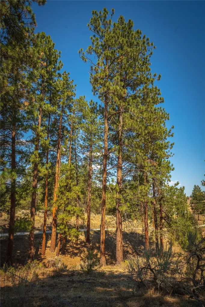 4769 Northview Drive Stevensville MT 59870