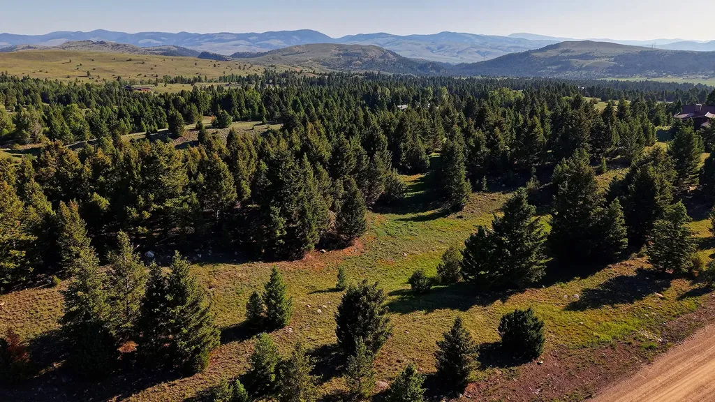 Nhn Lot 1 Phase 3a Dolus Lakes Road Deer Lodge MT 59722