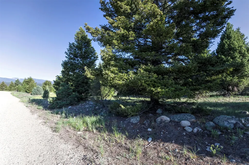 Nhn Lot 1 Phase 3a Dolus Lakes Road Deer Lodge MT 59722