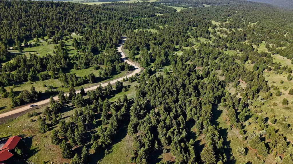 Nhn Lot 1 Phase 3a Dolus Lakes Road Deer Lodge MT 59722