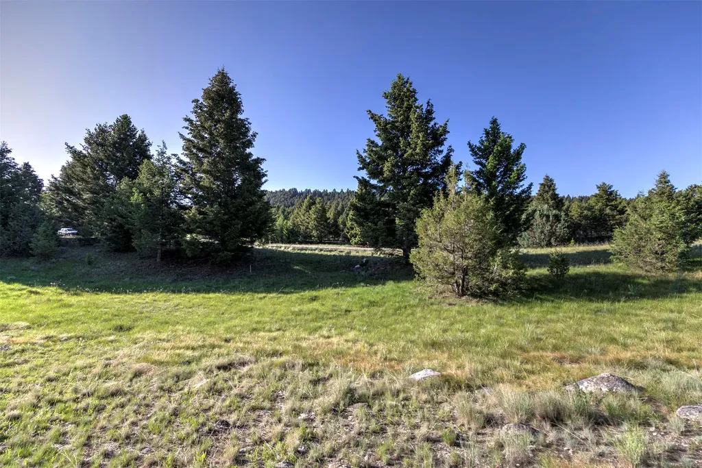 Nhn Lot 1 Phase 3a Dolus Lakes Road Deer Lodge MT 59722