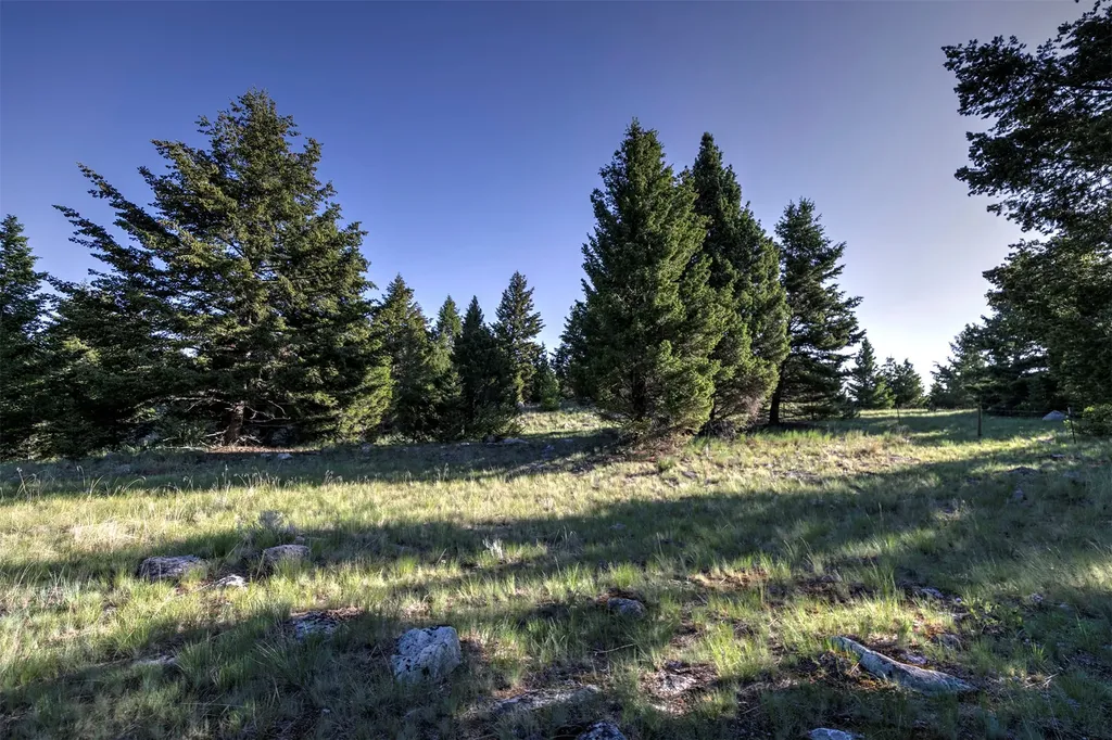 Nhn Lot 1 Phase 3a Dolus Lakes Road Deer Lodge MT 59722