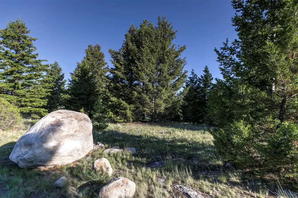 Nhn Lot 1 Phase 3a Dolus Lakes Road Deer Lodge MT 59722